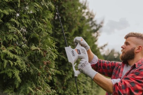 NOŻYCE DO ŻYWOPŁOTU 2000W, GHT41 BLAUPUNKT