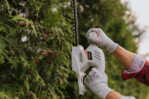 NOŻYCE DO ŻYWOPŁOTU 2000W, GHT41 BLAUPUNKT