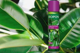 NABŁYSZCZACZ DO LIŚCI SPRAY 250 ML BIOPON BIOPON