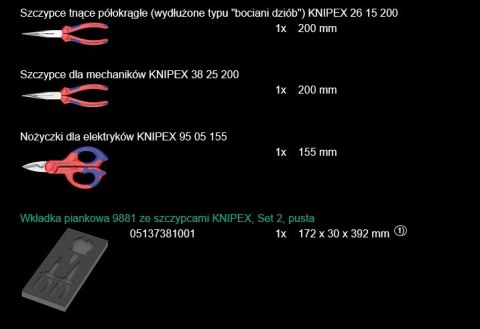 WKŁADKA PIANKOWA 9781 ZE SZCZYPCAMI SET 2 3CZ WERA WKŁADKA PIANKOWA 9781 ZE SZCZYPCAMI SET 2 3CZ WERA