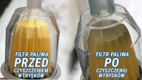 TEC 2000 DIESEL INJECTOR FLUSH CZYSZCZENIE WTRYSKÓW 2.5L TEC 2000