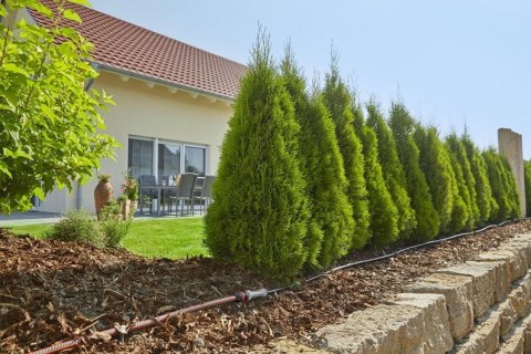 LINIA KROPLUJĄCA DO RZĘDÓW ROŚLIN - ZESTAW M MDS GARDENA LINIA KROPLUJĄCA DO RZĘDÓW ROŚLIN - ZESTAW M MDS GARDENA