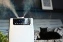 NAWILŻACZ POWIETRZA 105W Z DODATKOWYM ZESTAWEM FILTRÓW WODY BLAUPUNKT