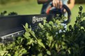 NOŻYCE AKUMULATOROWE DO ŻYWOPŁOTU ASPIRE H50-P4A HUSQVARNA