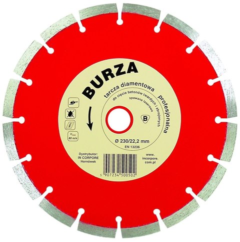 TARCZA DIAMENTOWA SEGMENTOWA BURZA 125MM IN CORPORE
