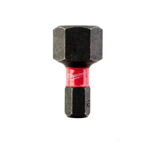 BIT, GROT, KOŃCÓWKA HEX10 25MM 2 SZT MILWAUKEE BIT, GROT, KOŃCÓWKA HEX10 25MM 2 SZT MILWAUKEE