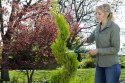 NOŻYCE DO ŻYWOPŁOTU GARDENA