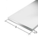 PŁASKOWNIK ALUMINIOWY ANODOWY 2000X20X2,0 UN