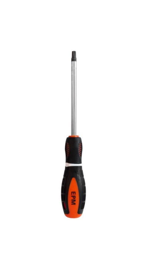 WKRĘTAK TORX SERIA M3 6*100MM T27 EPM WKRĘTAK TORX SERIA M3 6*100MM T27 EPM