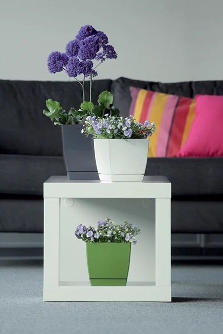 DONICZKA COUBI - GRAFIT PROSPERPLAST DONICZKA COUBI - GRAFIT PROSPERPLAST