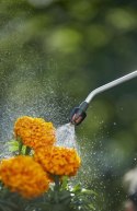 OPRYSKIWACZ CIŚNIENIOWY 5 L GARDENA