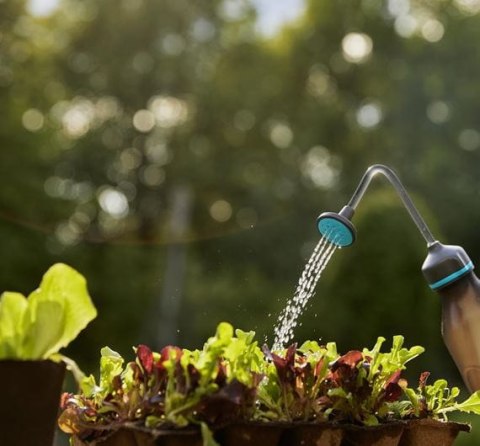 OPRYSKIWACZ DO ROZSAD 0.45 L GARDENA OPRYSKIWACZ DO ROZSAD 0.45 L GARDENA