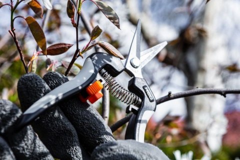 SEKATOR DO MŁODYCH PĘDÓW 185MM ZAKRES DO 6MM. NEO SEKATOR DO MŁODYCH PĘDÓW 185MM ZAKRES DO 6MM. NEO